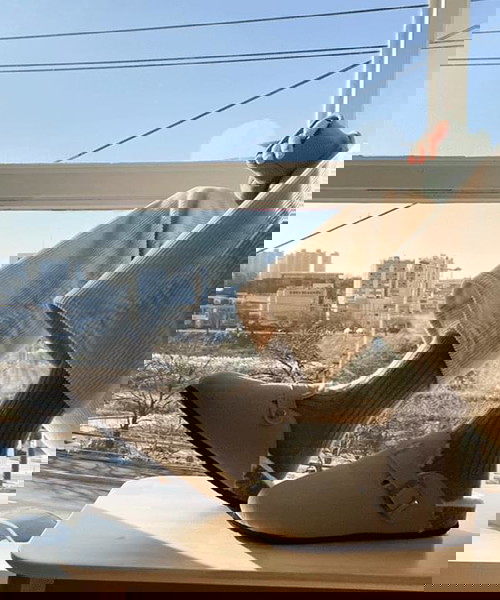 拖鞋