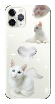 Angel Cat Real Cat iPhone Case