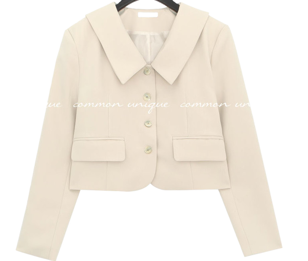 Standard Wide Collar Cropped Jacket