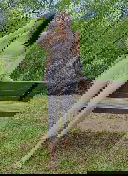 セット