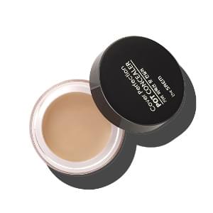 The Saem Cover Perfection Pot Concealer 4g #Makeup
