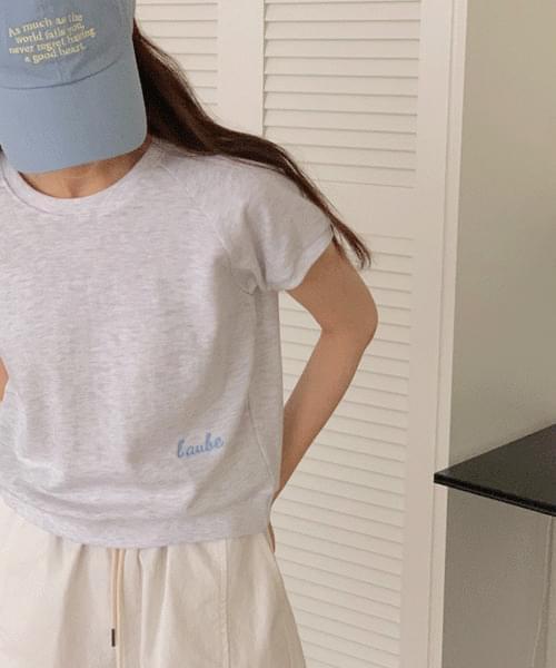 Embroidered lettering with emotion Nagrang cropped short-sleeved Sweatshirt (Ships Today)