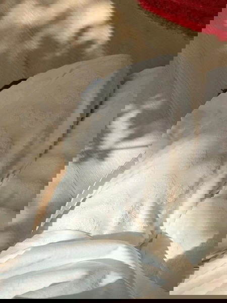 長褲