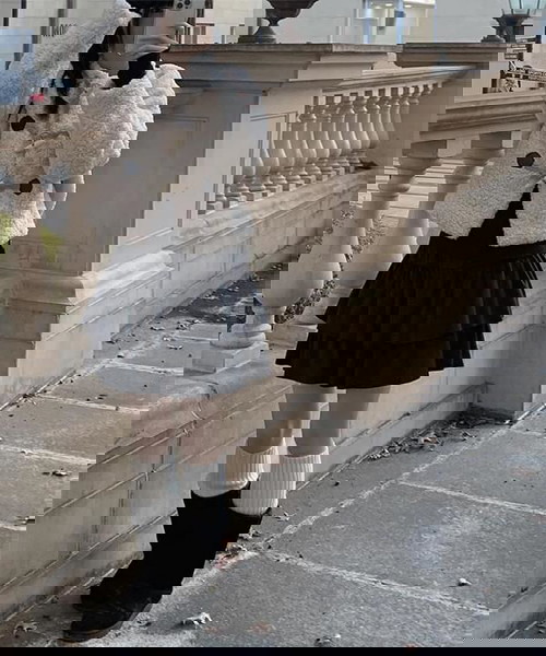 牛角釦大衣