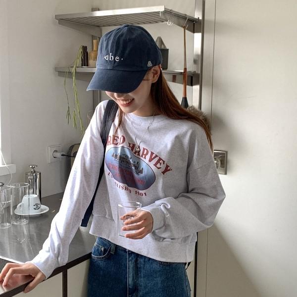 Caripi Cotton Embroidered Ball Cap 帽子