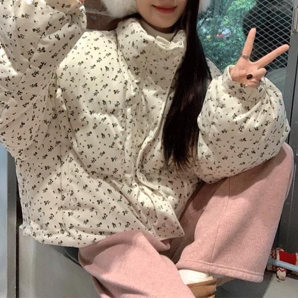 Zip-up