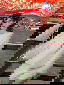 Winter Mink Fur Shorts