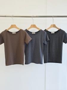 단가라데일리T