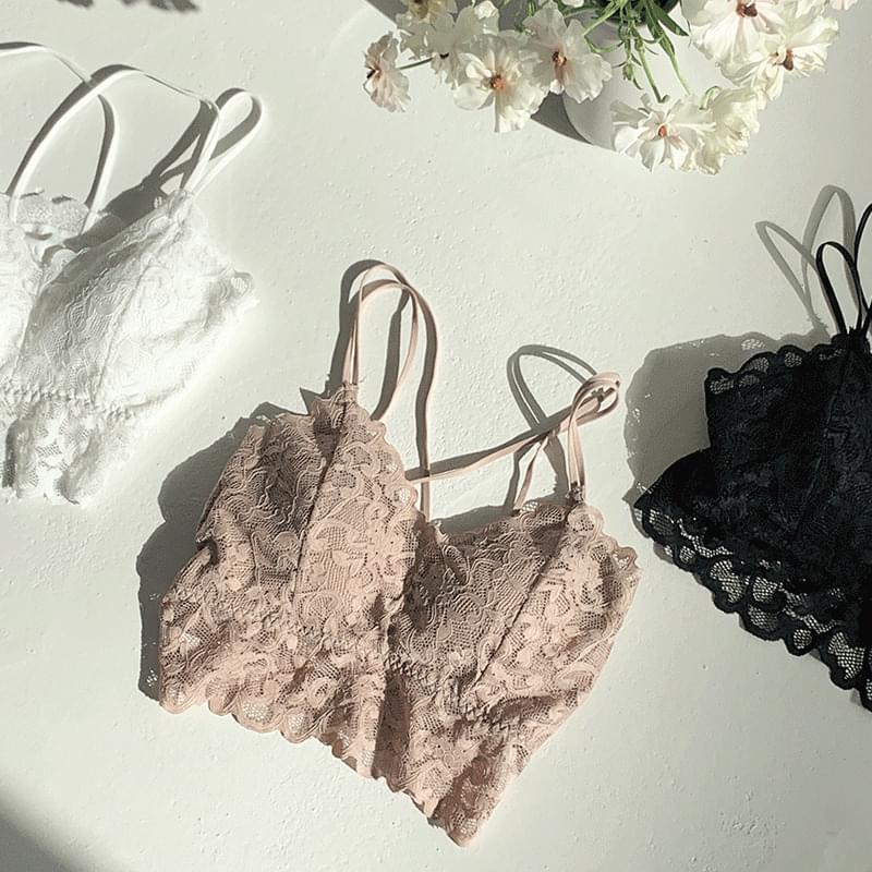 로에레이스브라렛나시 t