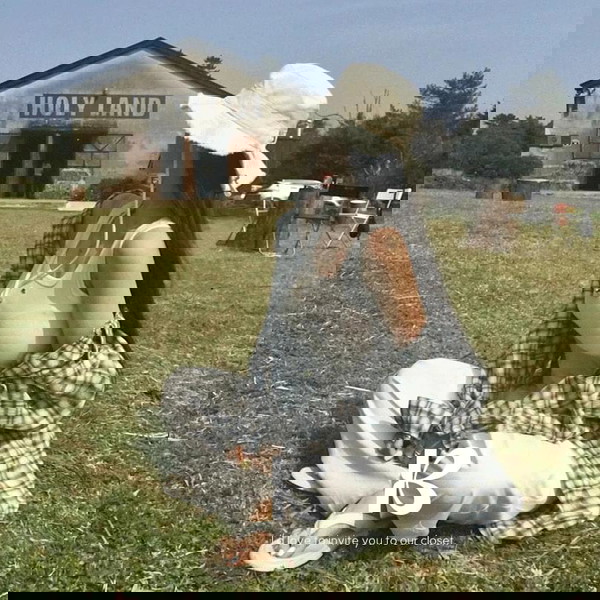 襯衫