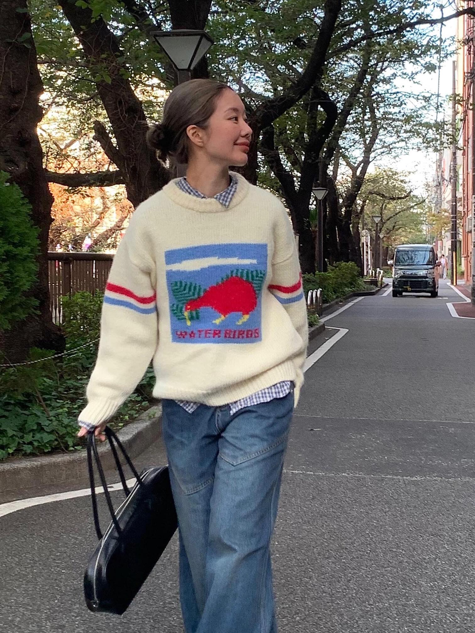 water bird sweater